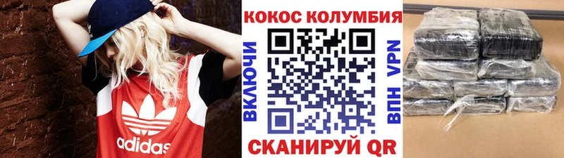 Cocaine FishScale  shop наркотические препараты  Гурьевск 