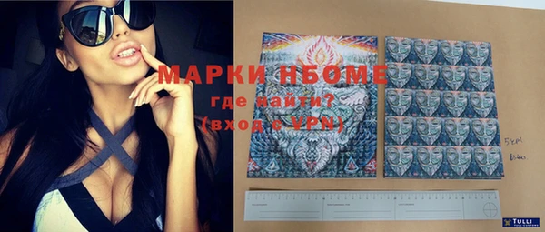 индика Алексин